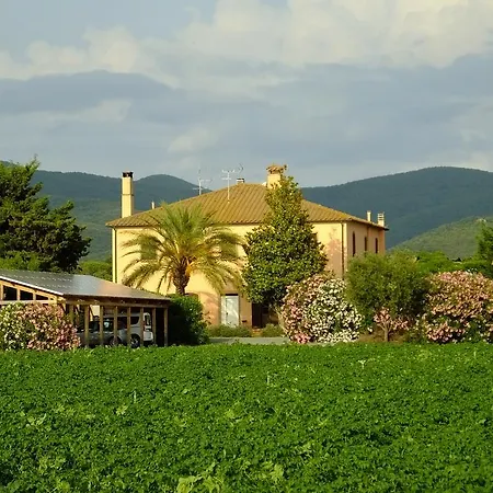Sant'uberto *